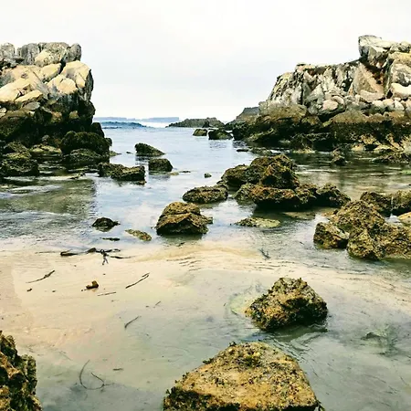 Maia Surf House - Baleal アパート